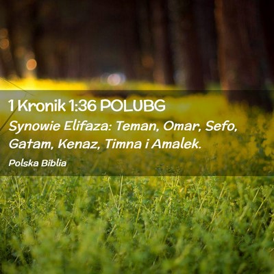 Picture 02 - 1 Kronik 1:36 POLUBG - Synowie Elifaza: Teman, Omar, Sefo, Gatam, Kenaz, - Bible Verse Picture