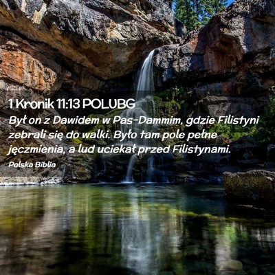 Picture 02 - 1 Kronik 11:13 POLUBG - Był on z Dawidem w Pas-Dammim, gdzie Filistyni - Bible Verse Picture