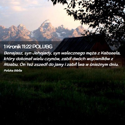 Picture 02 - 1 Kronik 11:22 POLUBG - Benajasz, syn Jehojady, syn walecznego męża z - Bible Verse Picture