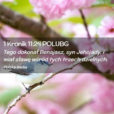 Picture 02 - 1 Kronik 11:24 POLUBG - Tego dokonał Benajasz, syn Jehojady, i miał - Bible Verse Picture