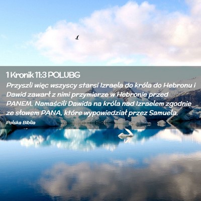Picture 02 - 1 Kronik 11:3 POLUBG - Przyszli więc wszyscy starsi Izraela do króla - Bible Verse Picture