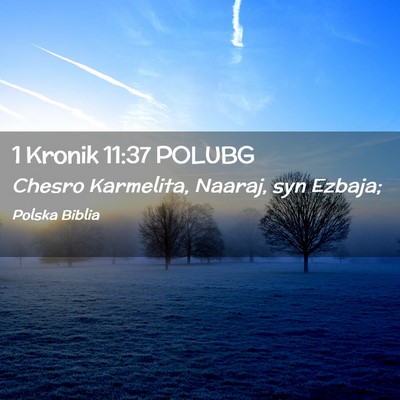 Picture 02 - 1 Kronik 11:37 POLUBG - Chesro Karmelita, Naaraj, syn - Bible Verse Picture