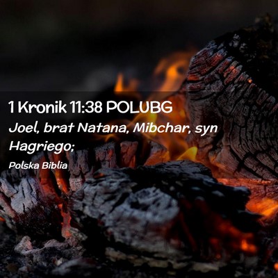 Picture 02 - 1 Kronik 11:38 POLUBG - Joel, brat Natana, Mibchar, syn - Bible Verse Picture