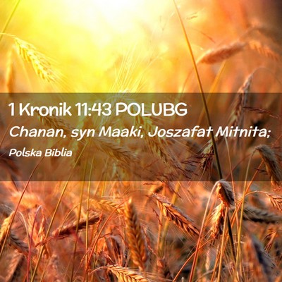 Picture 02 - 1 Kronik 11:43 POLUBG - Chanan, syn Maaki, Joszafat - Bible Verse Picture