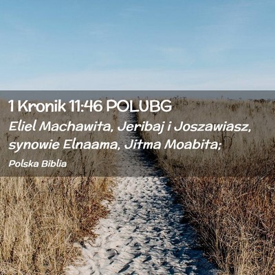 Picture 02 - 1 Kronik 11:46 POLUBG - Eliel Machawita, Jeribaj i Joszawiasz, synowie - Bible Verse Picture