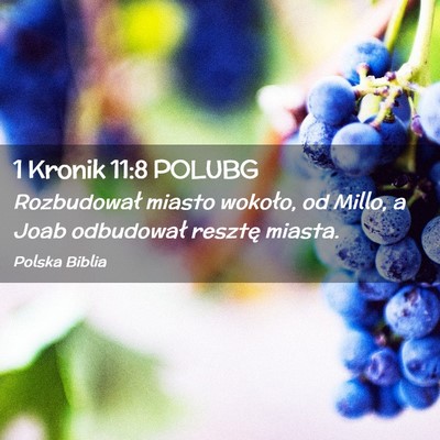 Picture 02 - 1 Kronik 11:8 POLUBG - Rozbudował miasto wokoło, od Millo, a Joab - Bible Verse Picture
