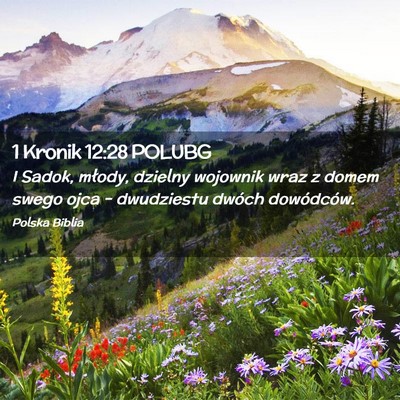 Picture 02 - 1 Kronik 12:28 POLUBG - I Sadok, młody, dzielny wojownik wraz z domem - Bible Verse Picture