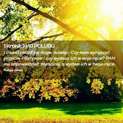 Picture 02 - 1 Kronik 14:10 POLUBG - I Dawid radził się Boga, mówiąc: Czy mam - Bible Verse Picture