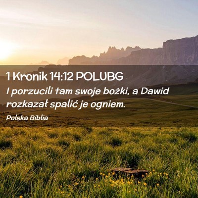 Picture 02 - 1 Kronik 14:12 POLUBG - I porzucili tam swoje bożki, a Dawid rozkazał - Bible Verse Picture