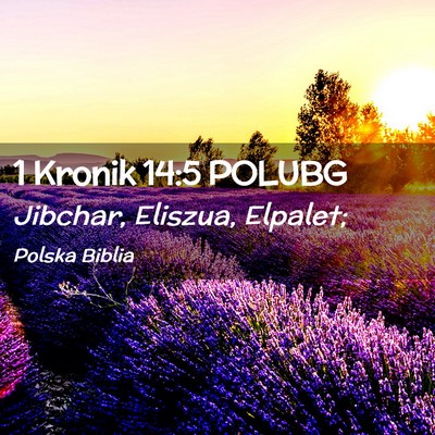 Picture 02 - 1 Kronik 14:5 POLUBG - Jibchar, Eliszua, - Bible Verse Picture