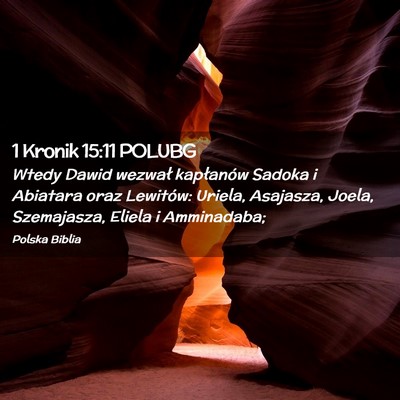 Picture 02 - 1 Kronik 15:11 POLUBG - Wtedy Dawid wezwał kapłanów Sadoka i Abiatara - Bible Verse Picture