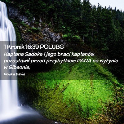 Picture 02 - 1 Kronik 16:39 POLUBG - Kapłana Sadoka i jego braci kapłanów - Bible Verse Picture