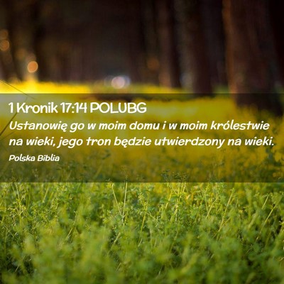 Picture 02 - 1 Kronik 17:14 POLUBG - Ustanowię go w moim domu i w moim królestwie na - Bible Verse Picture