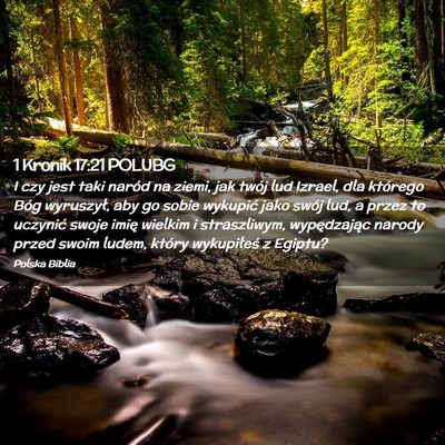 Picture 02 - 1 Kronik 17:21 POLUBG - I czy jest taki naród na ziemi, jak twój lud - Bible Verse Picture