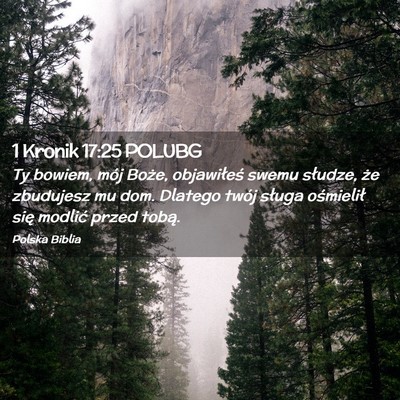 Picture 02 - 1 Kronik 17:25 POLUBG - Ty bowiem, mój Boże, objawiłeś swemu słudze, - Bible Verse Picture