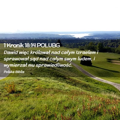 Picture 02 - 1 Kronik 18:14 POLUBG - Dawid więc królował nad całym Izraelem i - Bible Verse Picture