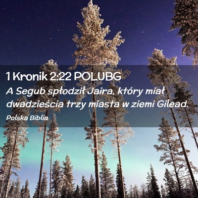 Picture 02 - 1 Kronik 2:22 POLUBG - A Segub spłodził Jaira, który miał - Bible Verse Picture