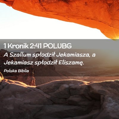 Picture 02 - 1 Kronik 2:41 POLUBG - A Szallum spłodził Jekamiasza, a Jekamiasz - Bible Verse Picture