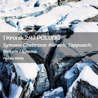 Picture 02 - 1 Kronik 2:43 POLUBG - Synowie Chebrona: Korach, Tappuach, Rekem i - Bible Verse Picture