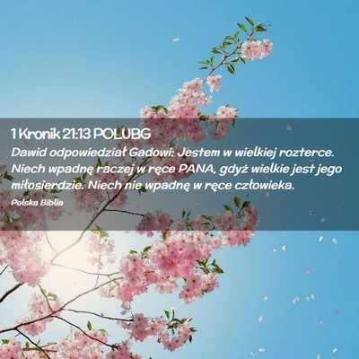Picture 02 - 1 Kronik 21:13 POLUBG - Dawid odpowiedział Gadowi: Jestem w wielkiej - Bible Verse Picture