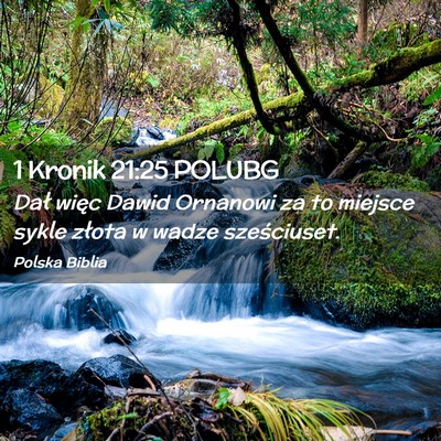 Picture 02 - 1 Kronik 21:25 POLUBG - Dał więc Dawid Ornanowi za to miejsce sykle - Bible Verse Picture