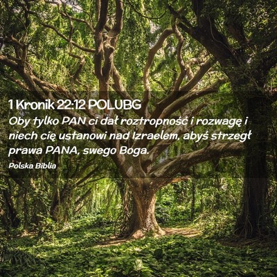 Picture 02 - 1 Kronik 22:12 POLUBG - Oby tylko PAN ci dał roztropność i rozwagę i - Bible Verse Picture