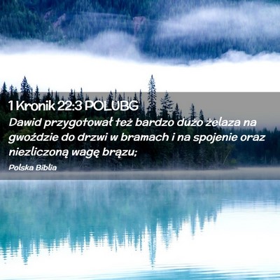 Picture 02 - 1 Kronik 22:3 POLUBG - Dawid przygotował też bardzo dużo żelaza na - Bible Verse Picture