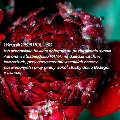 Picture 02 - 1 Kronik 23:28 POLUBG - Ich stanowisko bowiem polegało na posługiwaniu - Bible Verse Picture