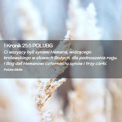 Picture 02 - 1 Kronik 25:5 POLUBG - Ci wszyscy byli synami Hemana, widzącego - Bible Verse Picture