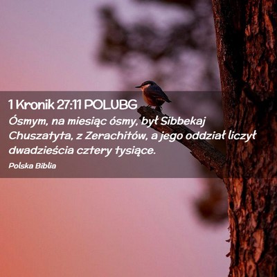Picture 02 - 1 Kronik 27:11 POLUBG - Ósmym, na miesiąc ósmy, był Sibbekaj - Bible Verse Picture