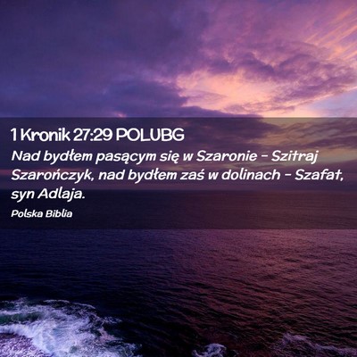 Picture 02 - 1 Kronik 27:29 POLUBG - Nad bydłem pasącym się w Szaronie – Szitraj - Bible Verse Picture