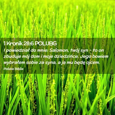 Picture 02 - 1 Kronik 28:6 POLUBG - I powiedział do mnie: Salomon, twój syn – to - Bible Verse Picture