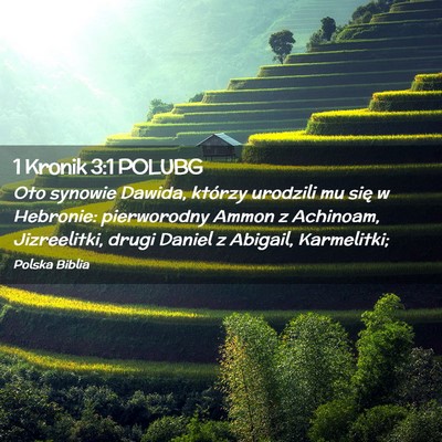 Picture 02 - 1 Kronik 3:1 POLUBG - Oto synowie Dawida, którzy urodzili mu się w - Bible Verse Picture