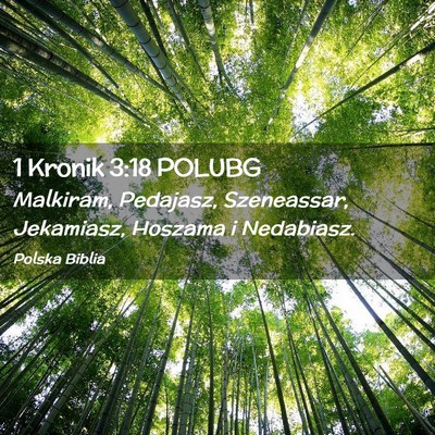 Picture 02 - 1 Kronik 3:18 POLUBG - Malkiram, Pedajasz, Szeneassar, Jekamiasz, - Bible Verse Picture