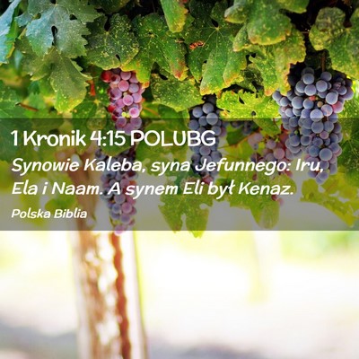 Picture 02 - 1 Kronik 4:15 POLUBG - Synowie Kaleba, syna Jefunnego: Iru, Ela i Naam. - Bible Verse Picture