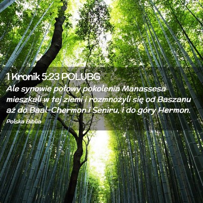 Picture 02 - 1 Kronik 5:23 POLUBG - Ale synowie połowy pokolenia Manassesa mieszkali - Bible Verse Picture