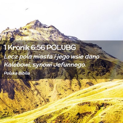 Picture 02 - 1 Kronik 6:56 POLUBG - Lecz pola miasta i jego wsie dano Kalebowi, - Bible Verse Picture