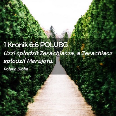 Picture 02 - 1 Kronik 6:6 POLUBG - Uzzi spłodził Zerachiasza, a Zerachiasz - Bible Verse Picture