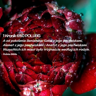 Picture 02 - 1 Kronik 6:60 POLUBG - A od pokolenia Beniamina: Geba z jego - Bible Verse Picture