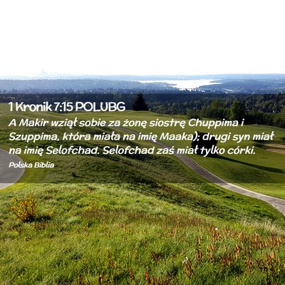 Picture 02 - 1 Kronik 7:15 POLUBG - A Makir wziął sobie za żonę siostrę Chuppima - Bible Verse Picture