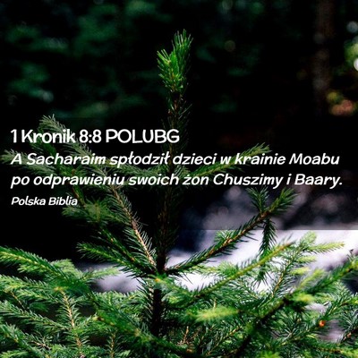 Picture 02 - 1 Kronik 8:8 POLUBG - A Sacharaim spłodził dzieci w krainie Moabu po - Bible Verse Picture