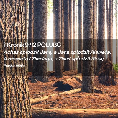 Picture 02 - 1 Kronik 9:42 POLUBG - Achaz spłodził Jarę, a Jara spłodził - Bible Verse Picture