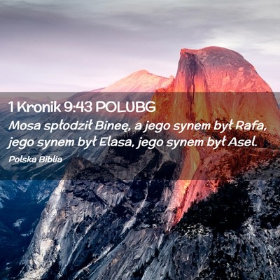 Picture 02 - 1 Kronik 9:43 POLUBG - Mosa spłodził Bineę, a jego synem był Rafa, - Bible Verse Picture