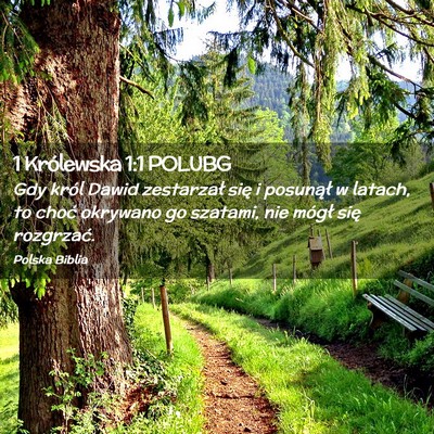 Picture 02 - 1 Królewska 1:1 POLUBG - Gdy król Dawid zestarzał się i posunął w - Bible Verse Picture