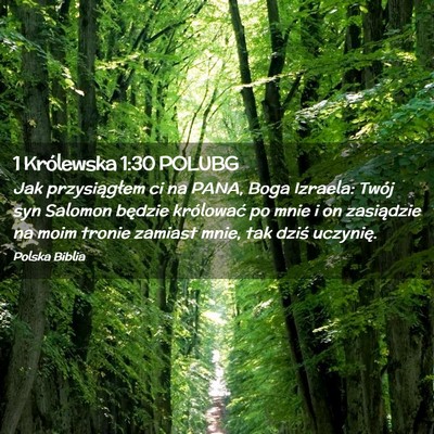 Picture 02 - 1 Królewska 1:30 POLUBG - Jak przysiągłem ci na PANA, Boga Izraela: Twój - Bible Verse Picture