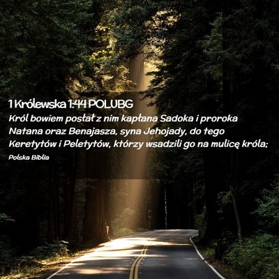 Picture 02 - 1 Królewska 1:44 POLUBG - Król bowiem posłał z nim kapłana Sadoka i - Bible Verse Picture