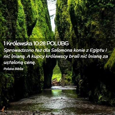 Picture 02 - 1 Królewska 10:28 POLUBG - Sprowadzono też dla Salomona konie z Egiptu i - Bible Verse Picture