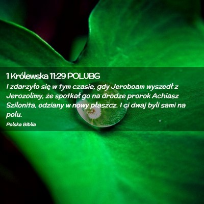 Picture 02 - 1 Królewska 11:29 POLUBG - I zdarzyło się w tym czasie, gdy Jeroboam - Bible Verse Picture