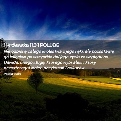 Picture 02 - 1 Królewska 11:34 POLUBG - Nie odbiorę całego królestwa z jego ręki, ale - Bible Verse Picture