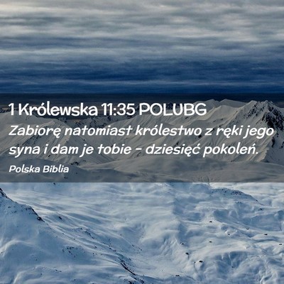 Picture 02 - 1 Królewska 11:35 POLUBG - Zabiorę natomiast królestwo z ręki jego syna i - Bible Verse Picture